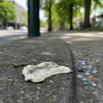 chewing gum